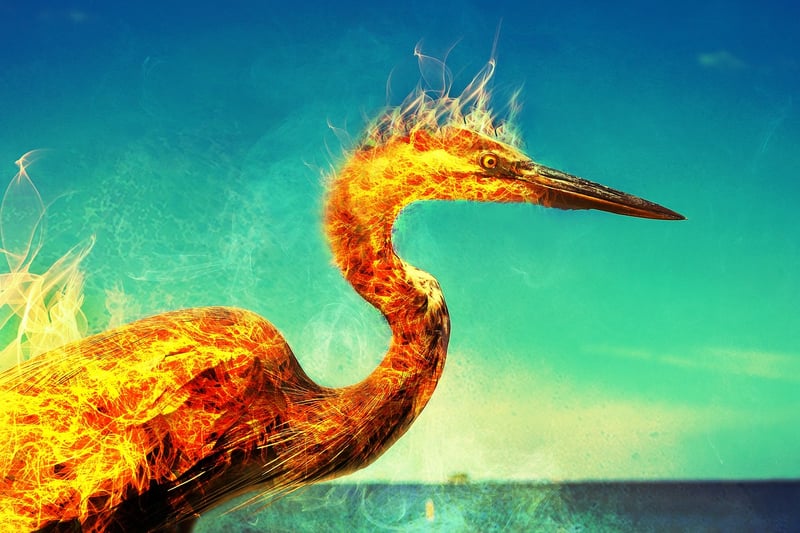Phoenix Bird